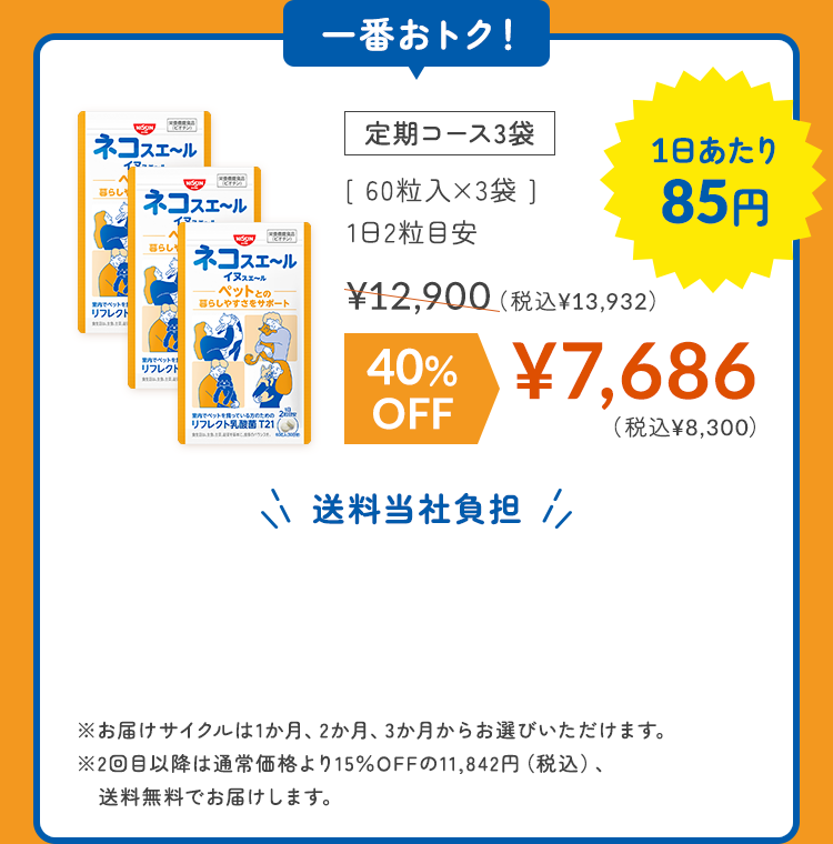 定期コース