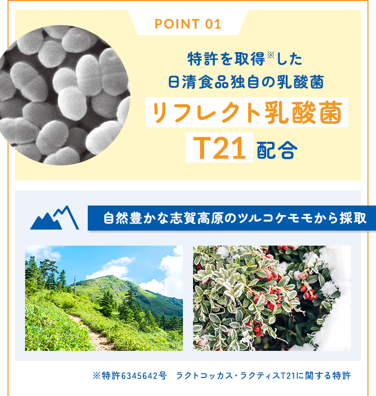 特許を取得※した日清食品独自の乳酸菌リフレクト乳酸菌T21 配合