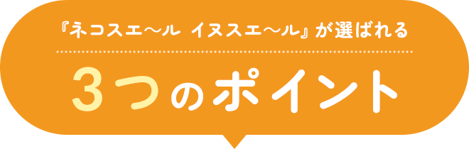 3つのポイント