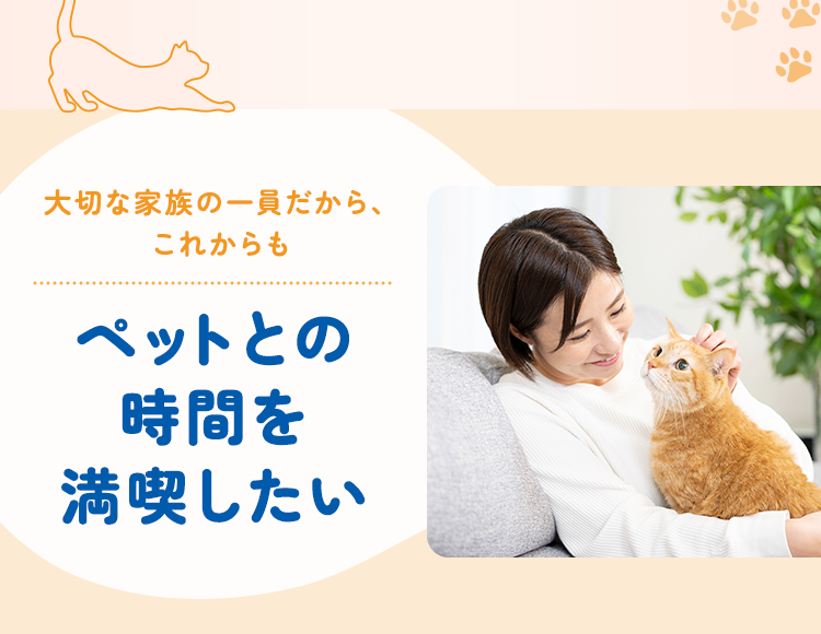 ペットとの時間を満喫したい